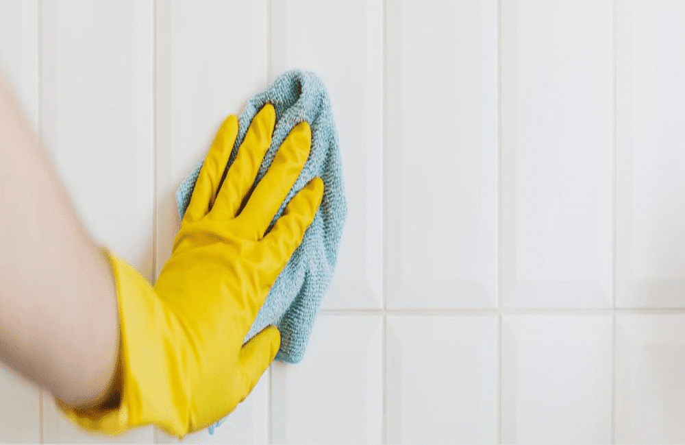 Does Vinegar Kill Mold Everything You Need to Know