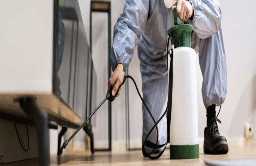 How Much Does Pest Control Cost in Florida