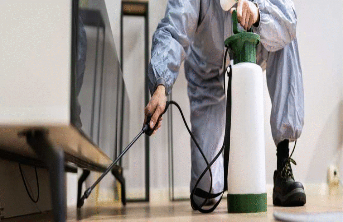 How Much Does Pest Control Cost in Florida